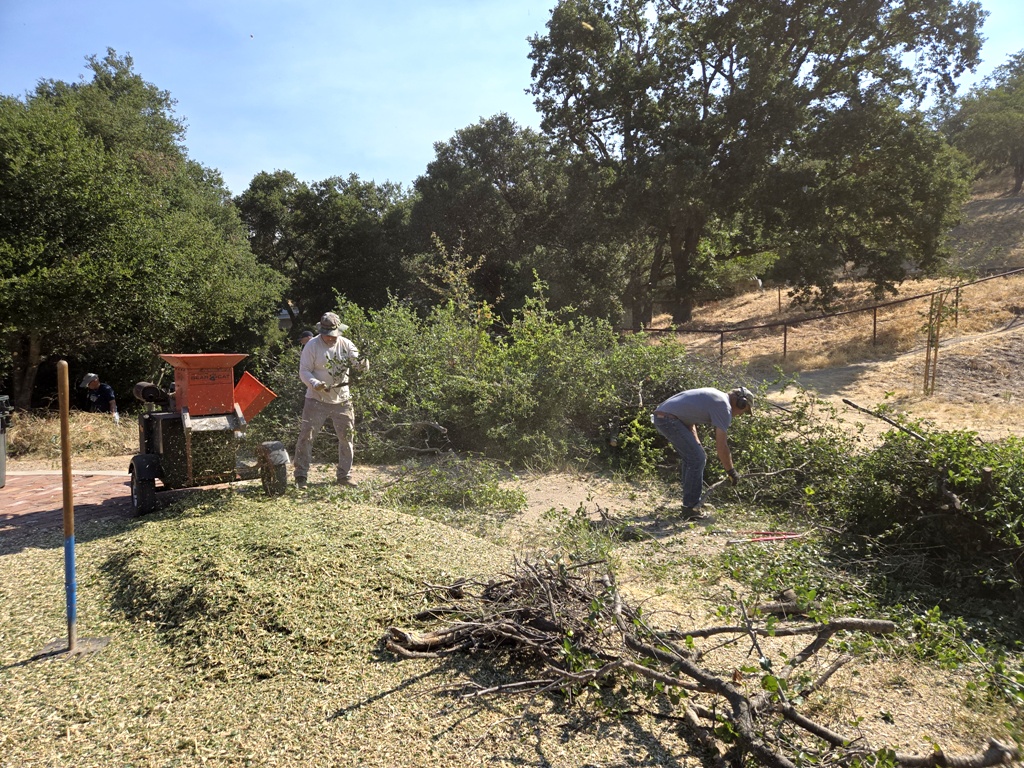 Chipping the brush and limbs.